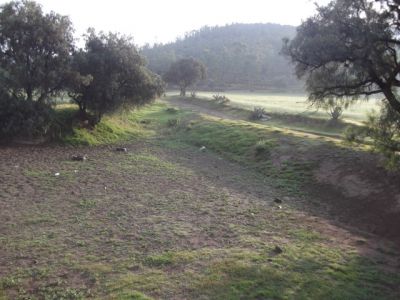 JagÃ¼ey seco, Fotos tomadas en Septiembre 2015 
