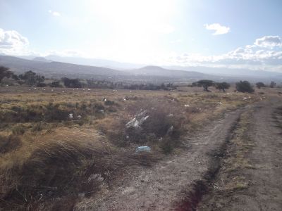 Aventura al Alcanfor - 14 de Marzo 2016 - Vista Valle

