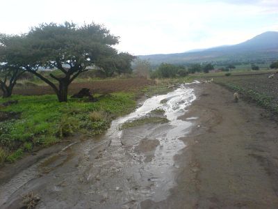 Rumbo al Tejolote Grande
Camino convertido en arroyo por la lluvia
