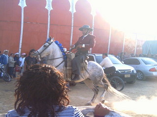 ManifestaciÃ³n contra las Corridas de Toros
