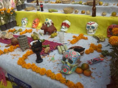 DÃ­a de muertos 2014 -  Guuna Zzuin A.C. Ofrenda en Santa Rosa 
