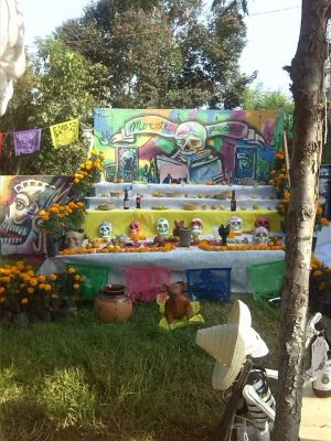 DÃ­a de muertos 2014 -  Guuna Zzuin A.C. Ofrenda en Santa Rosa 
