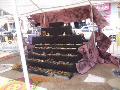 Ofrenda y exposiciÃ³n en el marco del festival "aunque te quites y aunque te pongas" Octubre 2012
