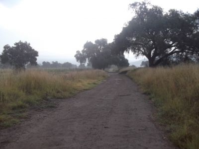 Veredas en Chicoloapan, Fotos tomadas en Septiembre 2015
