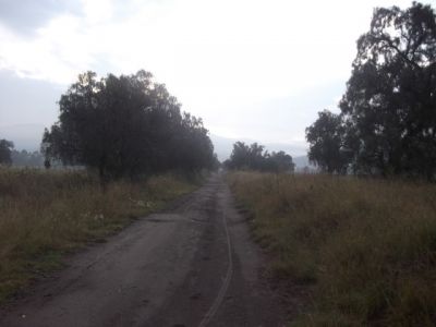 Veredas en Chicoloapan, Fotos tomadas en Septiembre 2015
