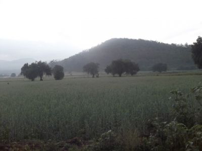 Cerro rumbo a Coatepec, Fotos tomadas en Septiembre 2015
