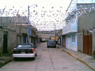 Calles Adornadas 2007
Calle Rosa, Adornada con motivo de la fiesta patronal de santa rosa de lima
