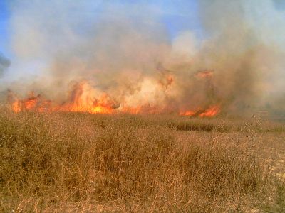 Zona de Cultivos Chicoloapan Noviembre 2007
Fuego provocado para limpiar una parcela de hierba y basura arrojada por transeuntes.
