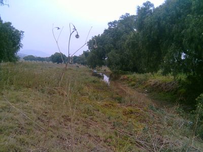 Canales de agua
