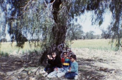 un descanzo en tlamimilolpan