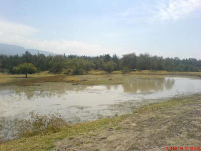 Alcanfor
Imagenes del Alcanfor, toda una aventura visitarlo
