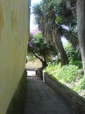 Molino de la Flores 
