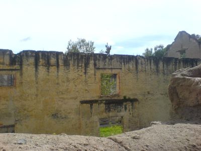 Molino de la Flores 
