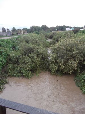 rio coatepec inundación 6 de Agosto