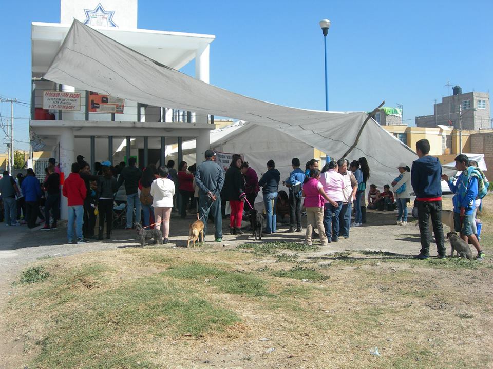 esterilizacion sare