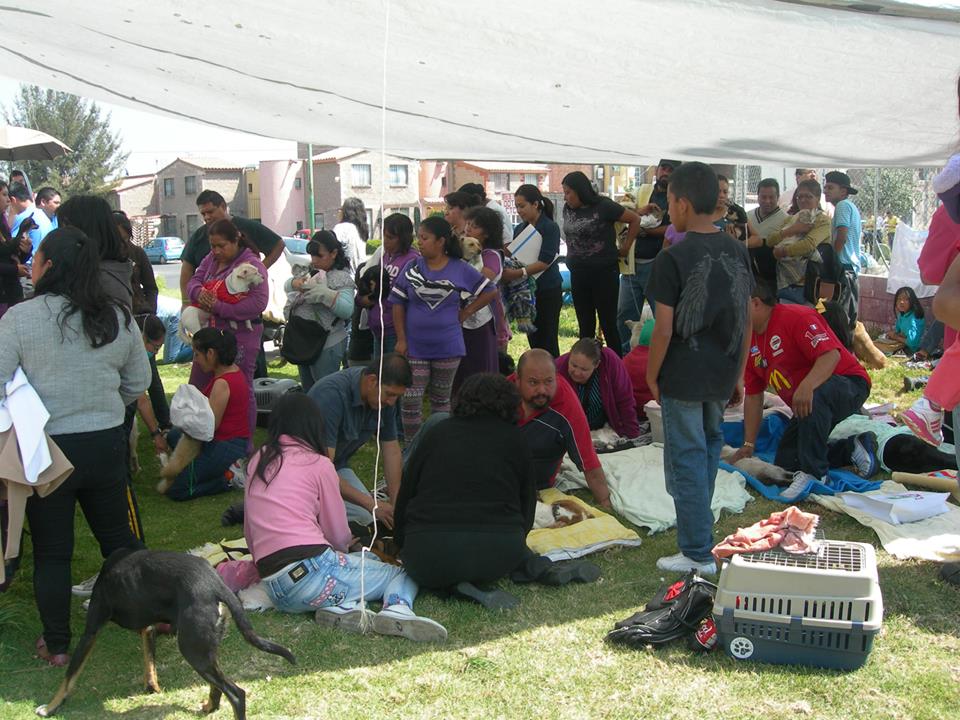 esterilizacion geo