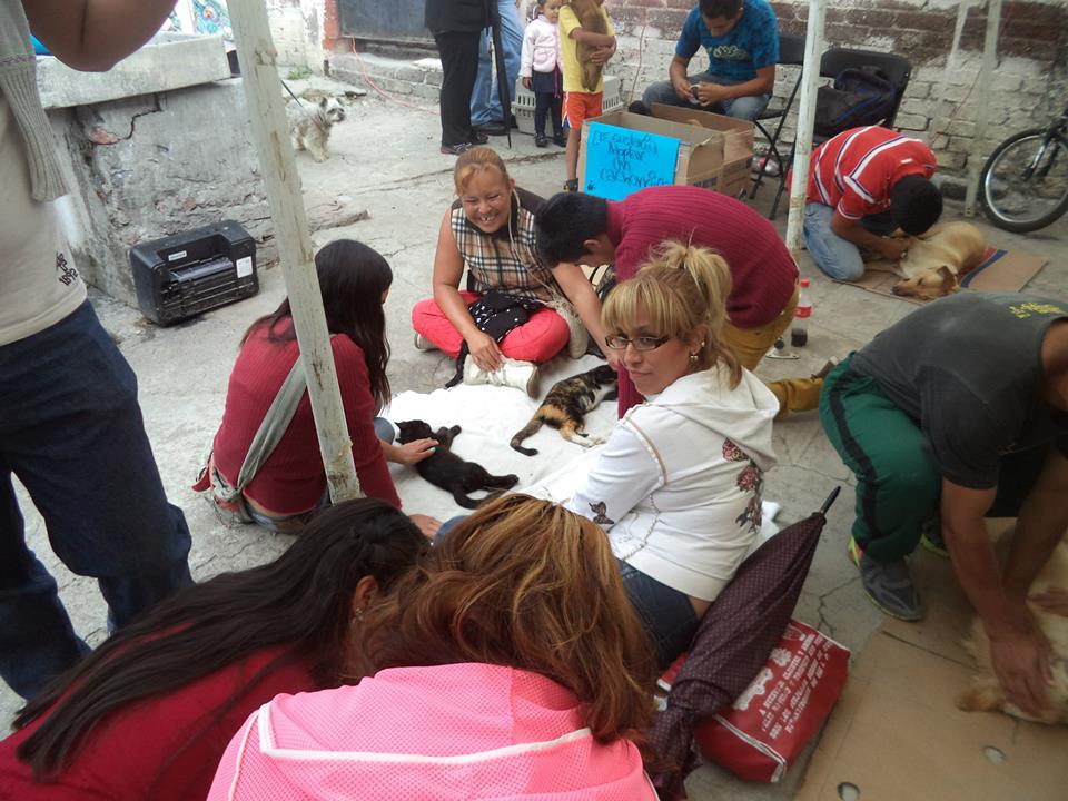 esterilizacion sanvicente