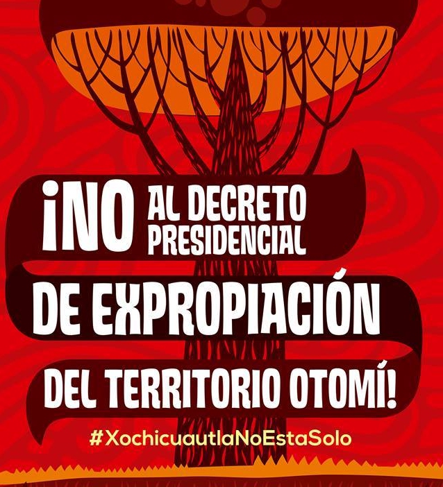 xochi jul 2