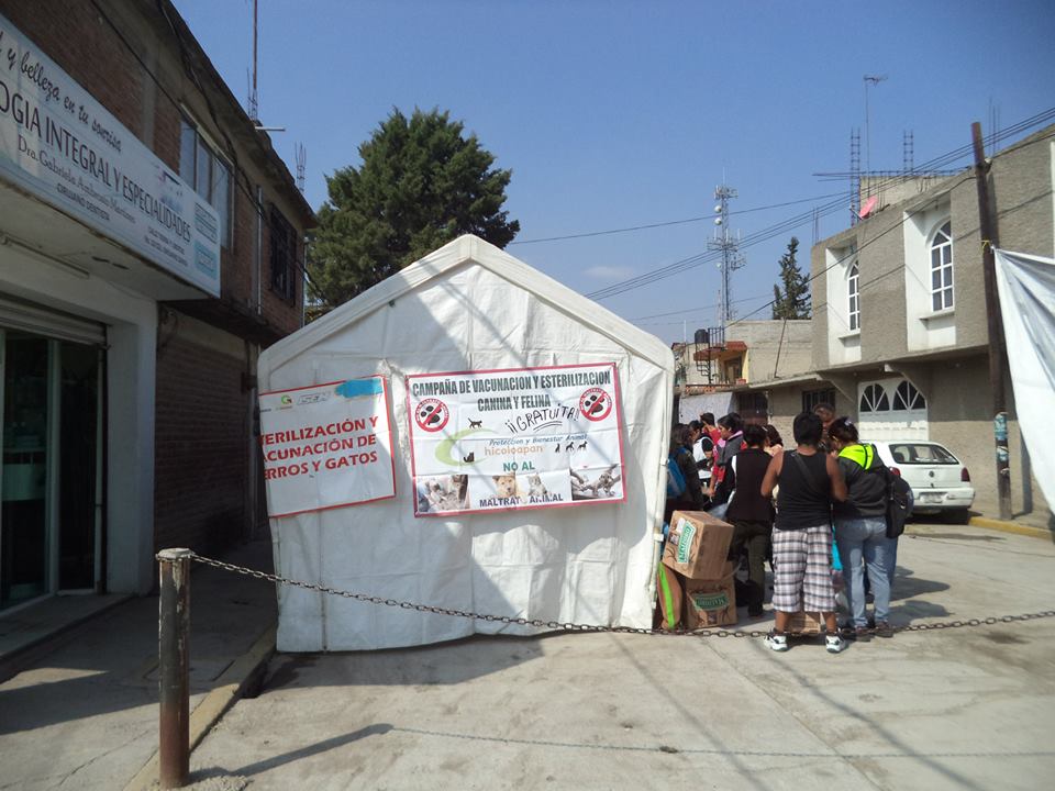 esterilizacion 22 8 2015