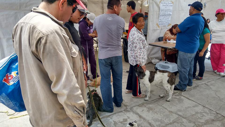 esterilizacion 22 8 2015 b