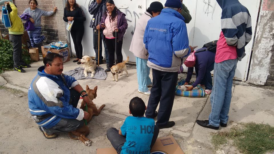 esterilizacion revolucion