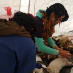 esterilizacion revolucion1