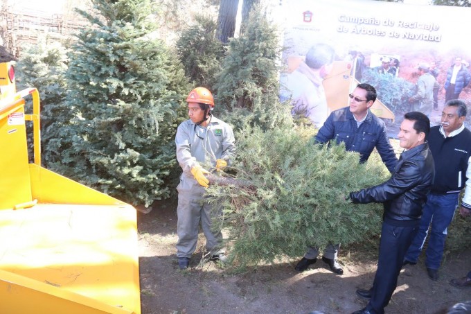 reciclaje arboles navidad