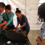 esterilizacion canina texcoco