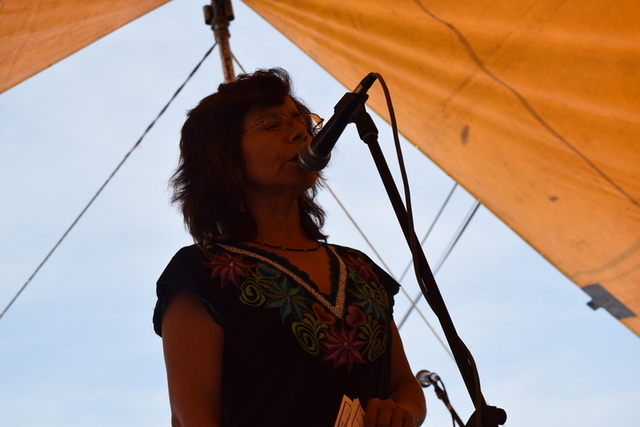 12 magisterio democrático