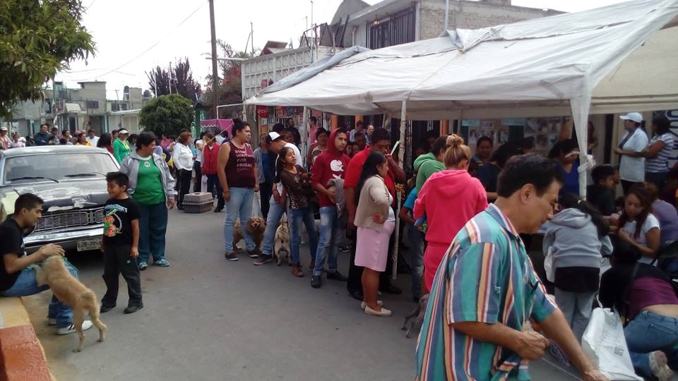 esterilizacion auris 1