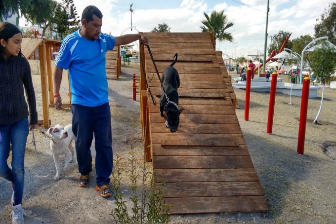 parque perros naucalpan