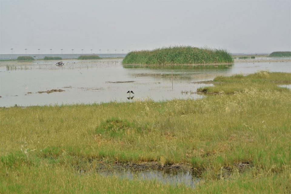 lago texcoco aeropuerto