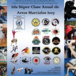 super clase artes marciales