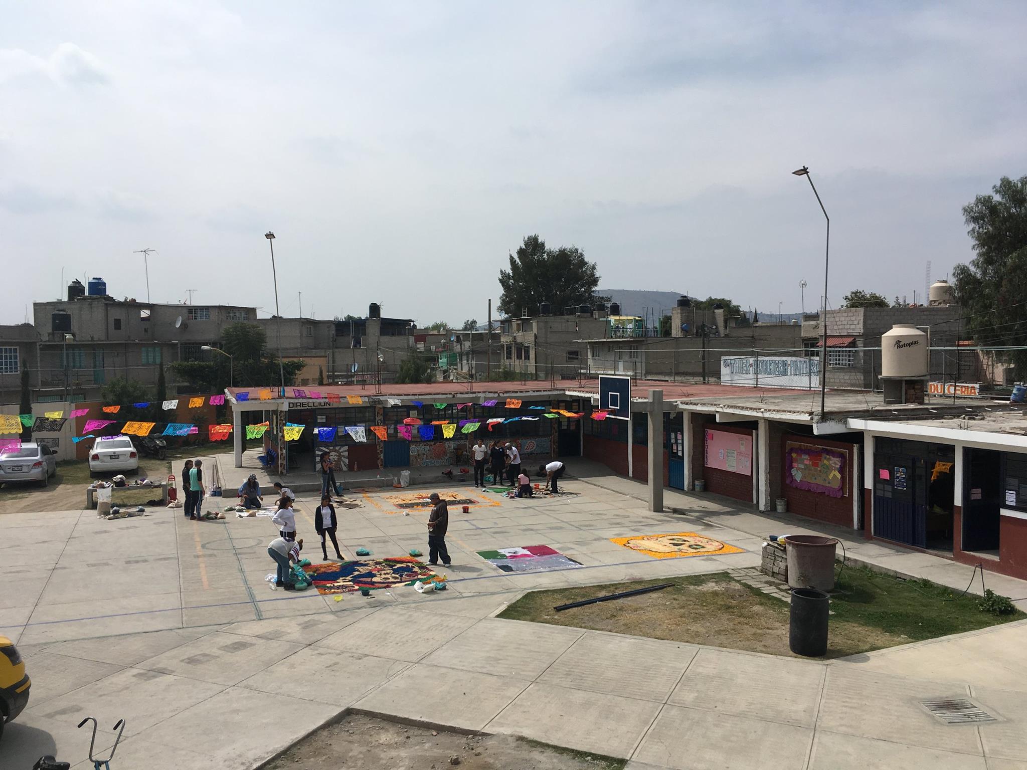 tapete aserrin proceres1