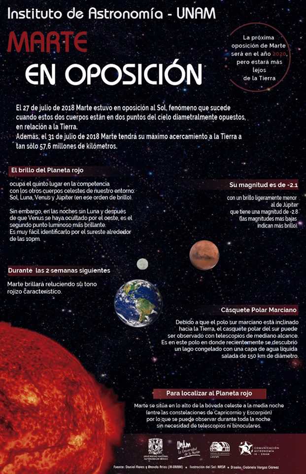 Constelaciones acuáticas: las estrellas de mar - Ciencia UNAM
