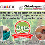 tianguis regional agropecuario invitacion