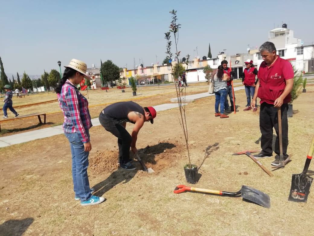 reforestacion parque2