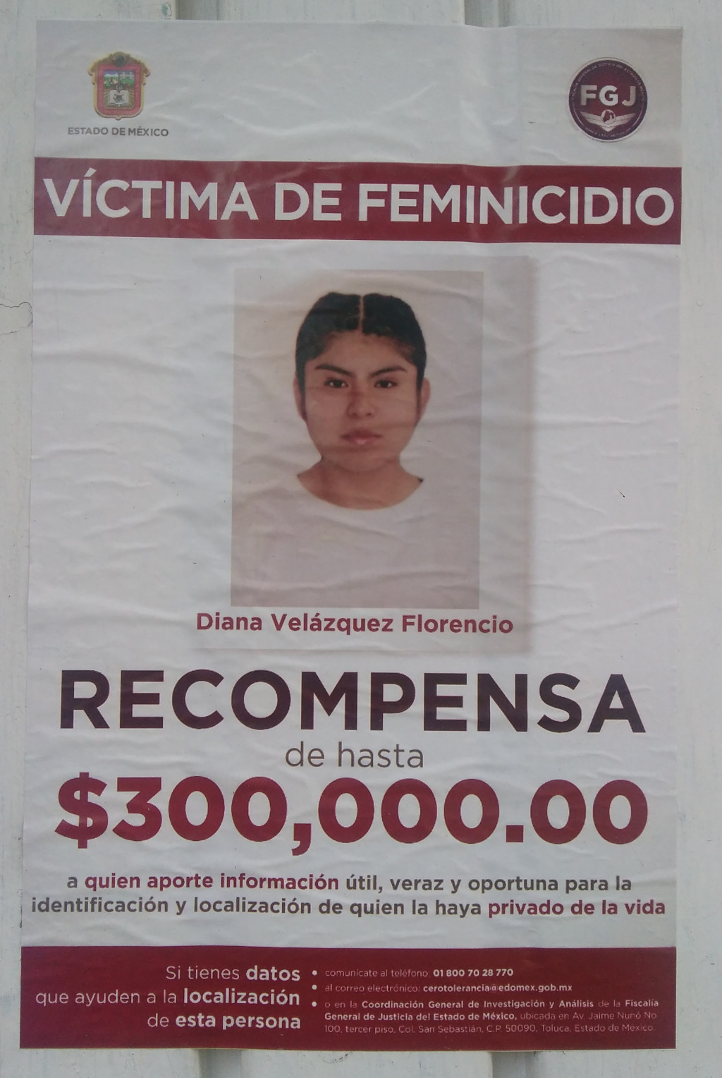 victimas feminicidios