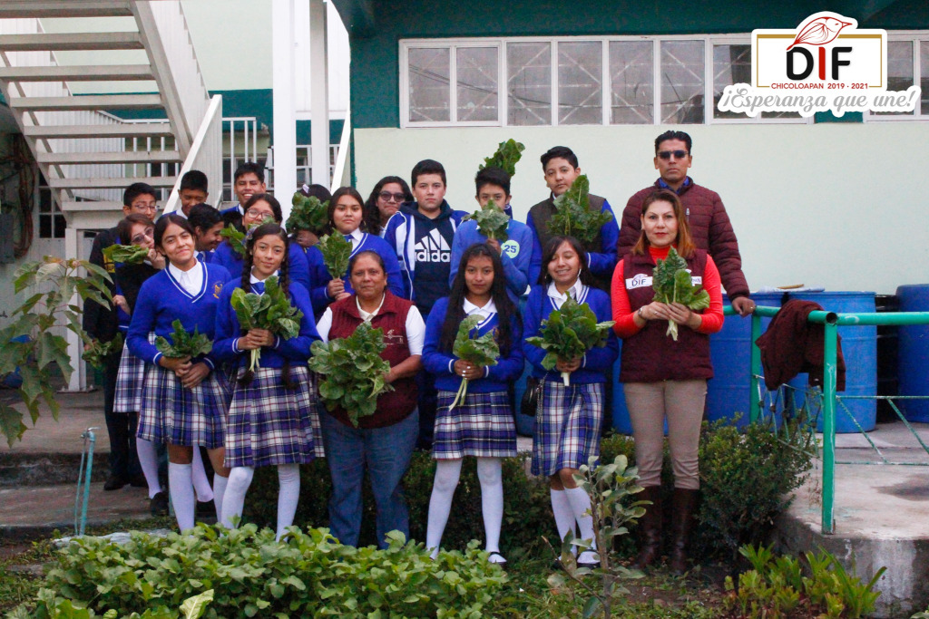 hortadif secundaria