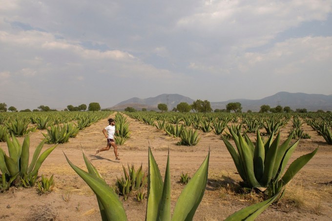 carrera teotihuacan