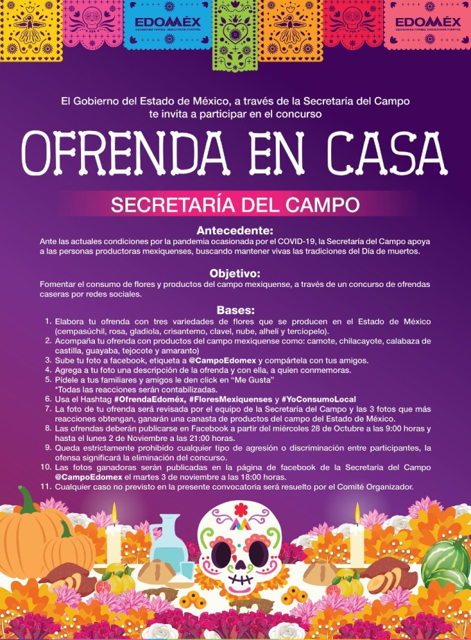 concurso ofrendas edomex