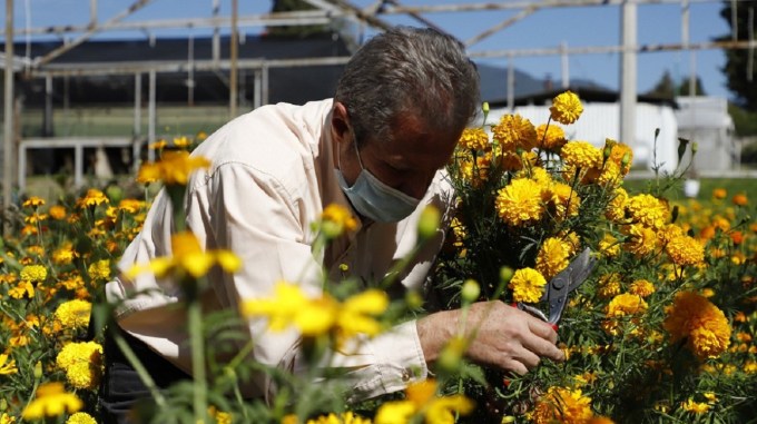 floricultores edomex