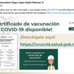 certificado vacunacion