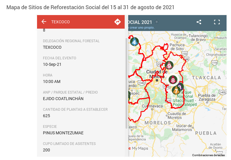 reforestacion edomex1