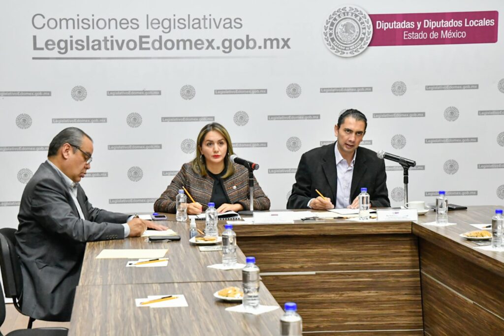 osfem auditorias ciudadanas