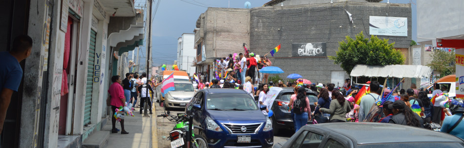 diversidad marcha