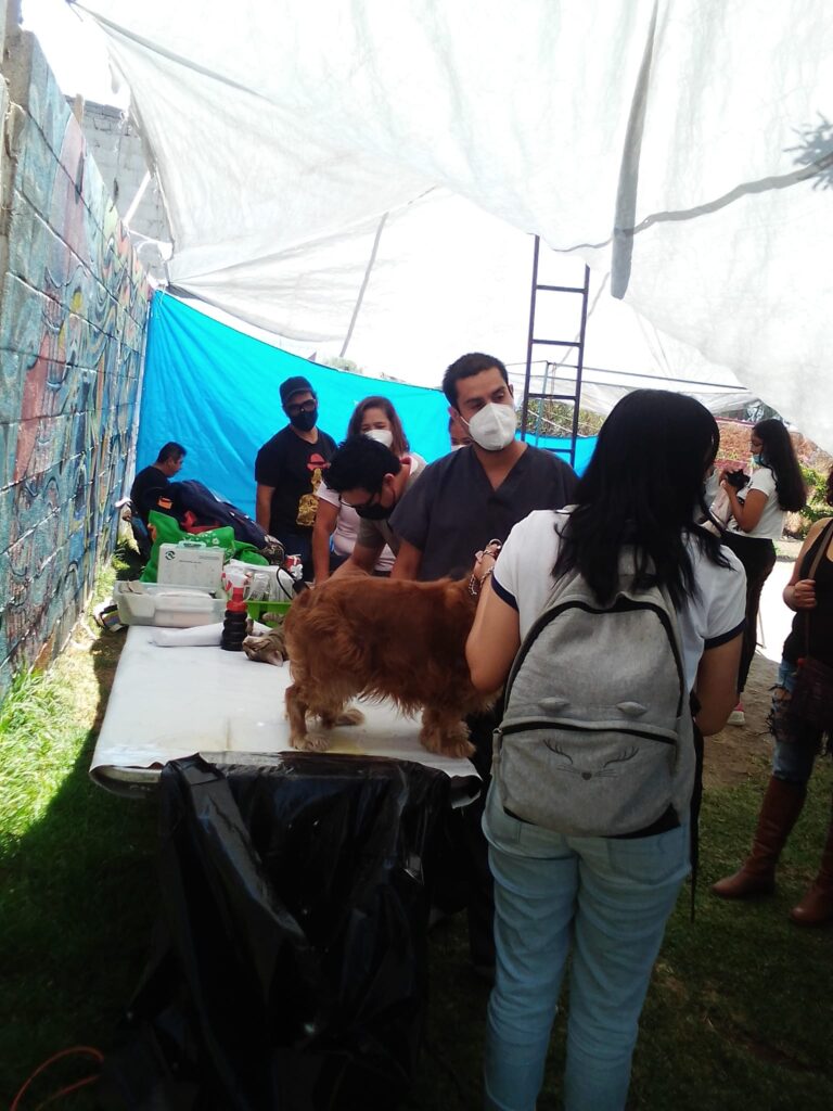 esterilizacion mayo15