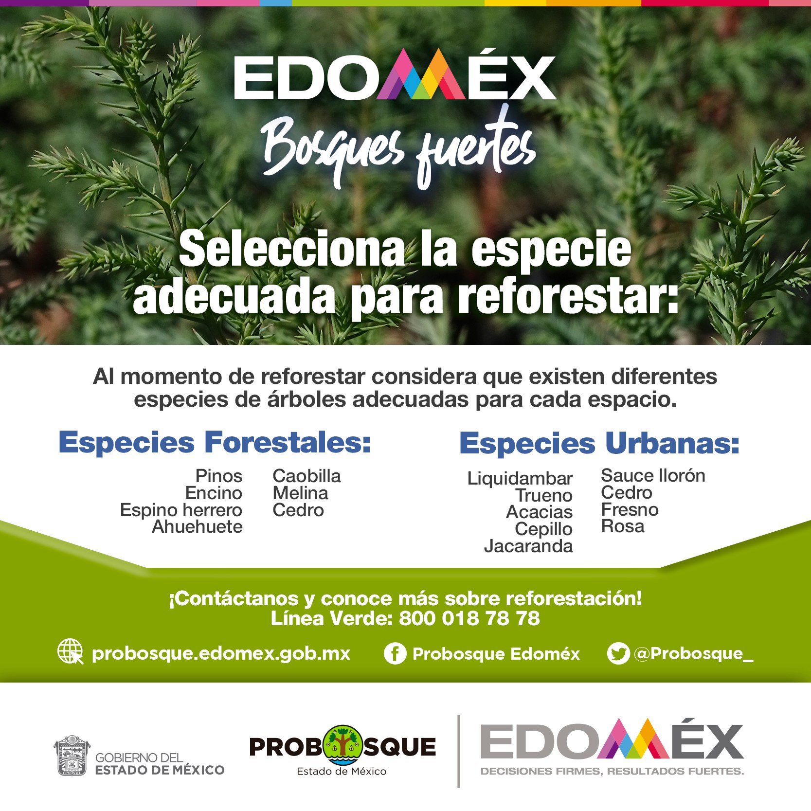 edomex reforestar