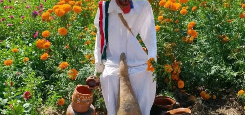 parcela-flores-chicoloapan