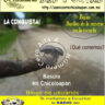 Revista del portal CERO alfa 4
